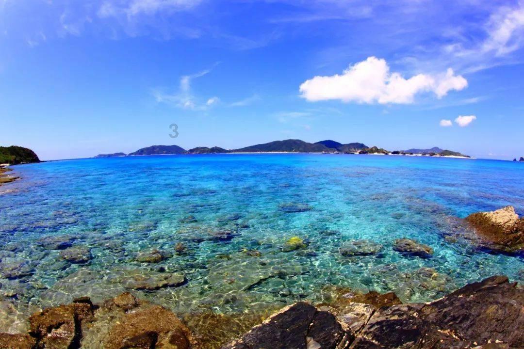 梦想的后院